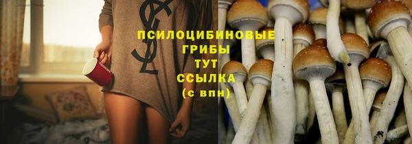 ECSTASY Алексин