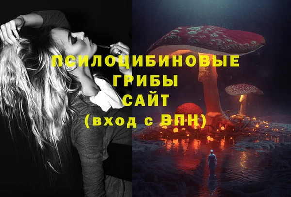ECSTASY Алексин