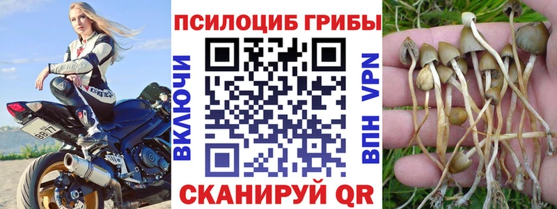 Псилоцибиновые грибы мицелий  хочу   Ипатово 