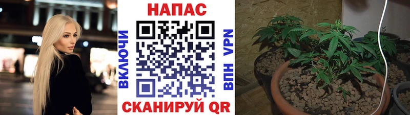МАРИХУАНА семена  что такое   Ипатово 